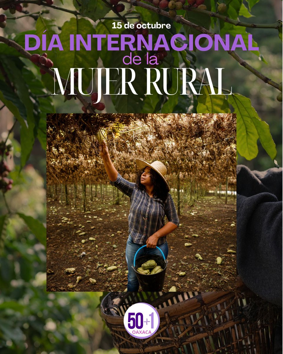 Hoy reconocemos la fuerza y la sabiduría de las mujeres que cultivan la vida desde la tierra.
Su trabajo sostiene comunidades enteras, preserva tradiciones y alimenta el futuro de México.
Honramos a cada mujer rural que transforma el campo en esperanza. 🌾💜
#DíaDeLaMujerRural