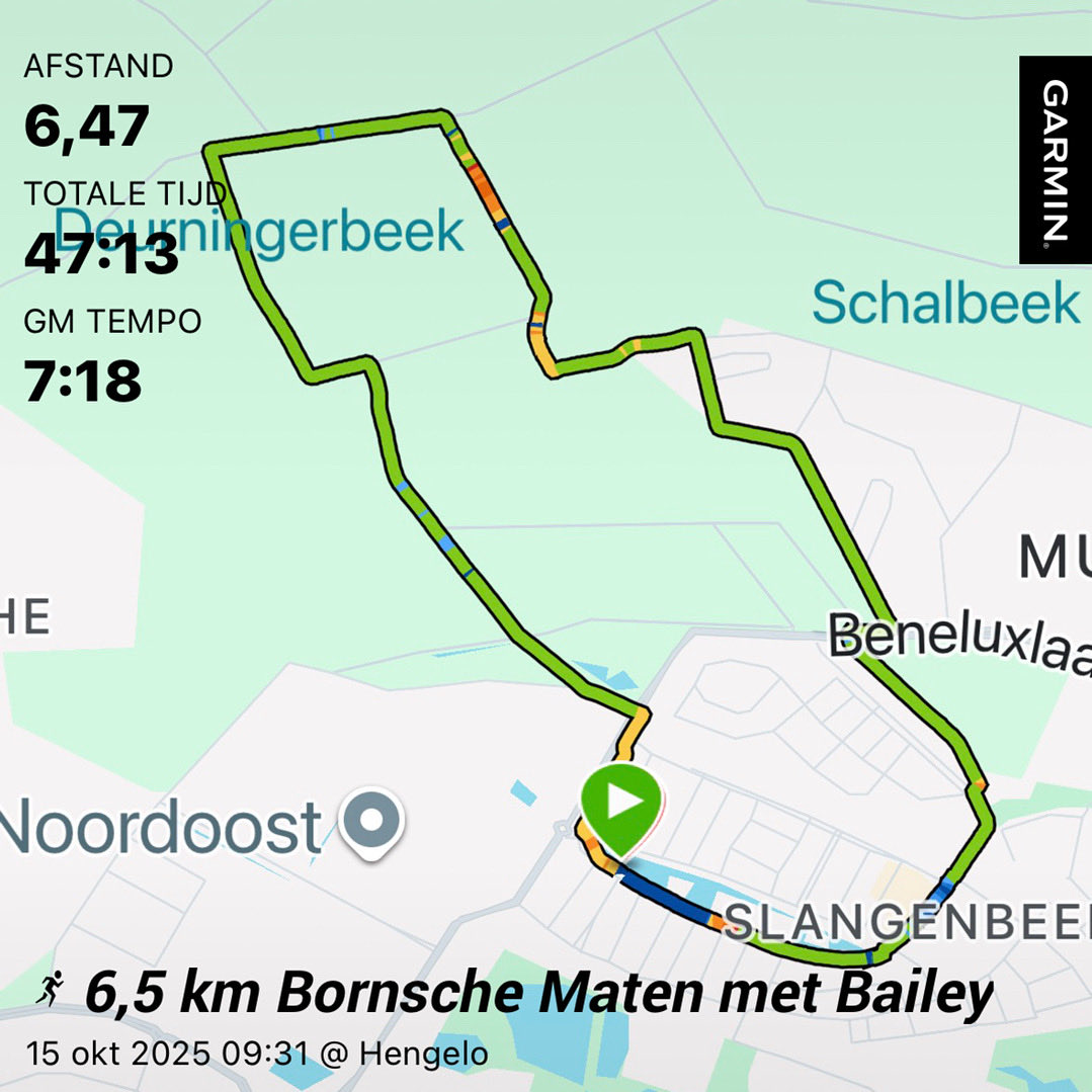 Vandaag 6,5 km met Bailey gerend. Ze houdt het nog goed vol voor haar leeftijd! Voor mij weer een les niet zo heel hard rennen, ook een keer goed! Kortom, geslaagde loop! Op naar de late dienst! Fijne avond allemaal! <a href="/loopmaatjes/">Loopmaatjes</a> <a href="/hardloopvriend/">Hardloopvriend</a>