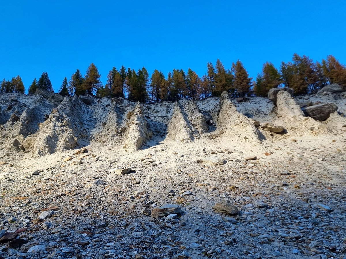 subfossilguy's tweet image. Last rays on the Fee W. Gl. moraine this evening! 😍