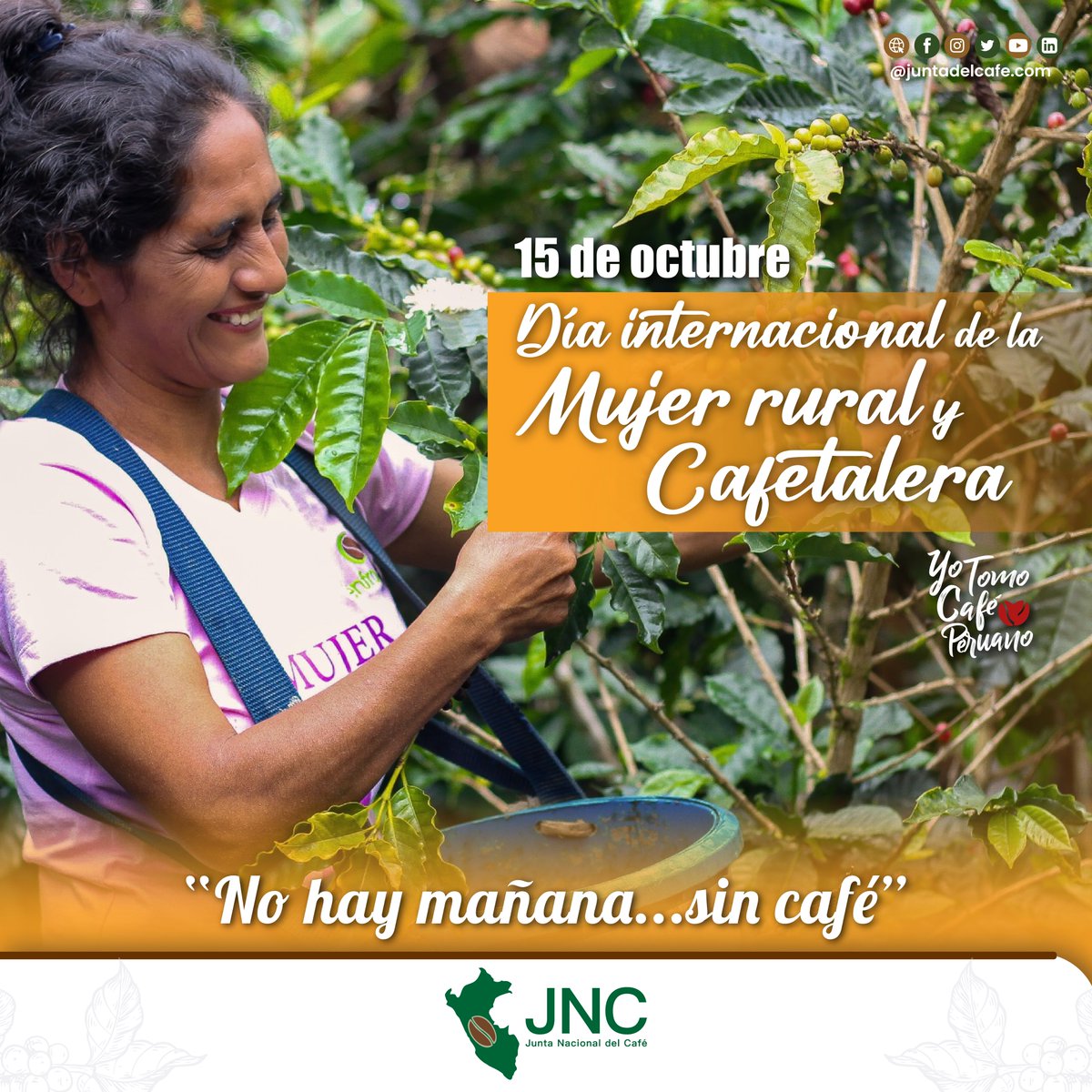 Junta del Café tweet media