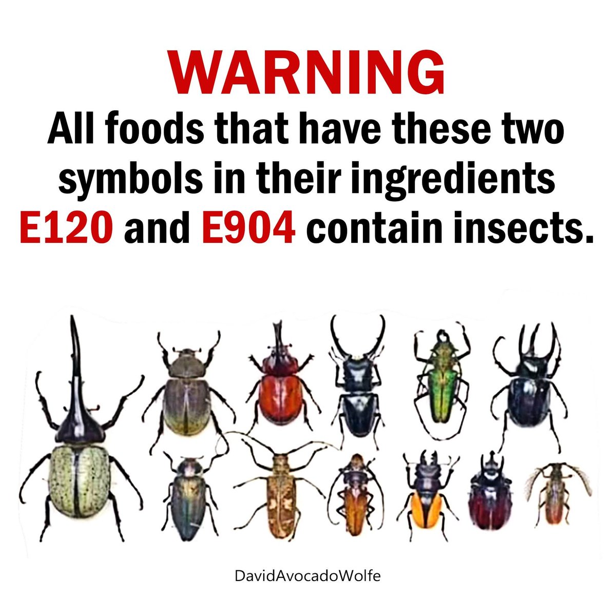 David Wolfe (@davidwolfe) on Twitter photo 