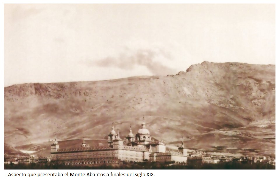 eforestal's tweet image. Monte de Abantos. San Lorenzo de El Escorial, Madrid  

⏳finales s. XIX / actualidad

🌲🌳Proceso restaurador de los servicios forestales.