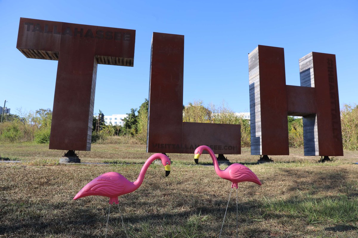 FirstCommerceCU's tweet image. Make a difference in the fight against breast cancer! 
#FlamingoChallenge
FirstCommerceCU.org/Flamingo
FirstCommerceCU.org/FlamingoBiz