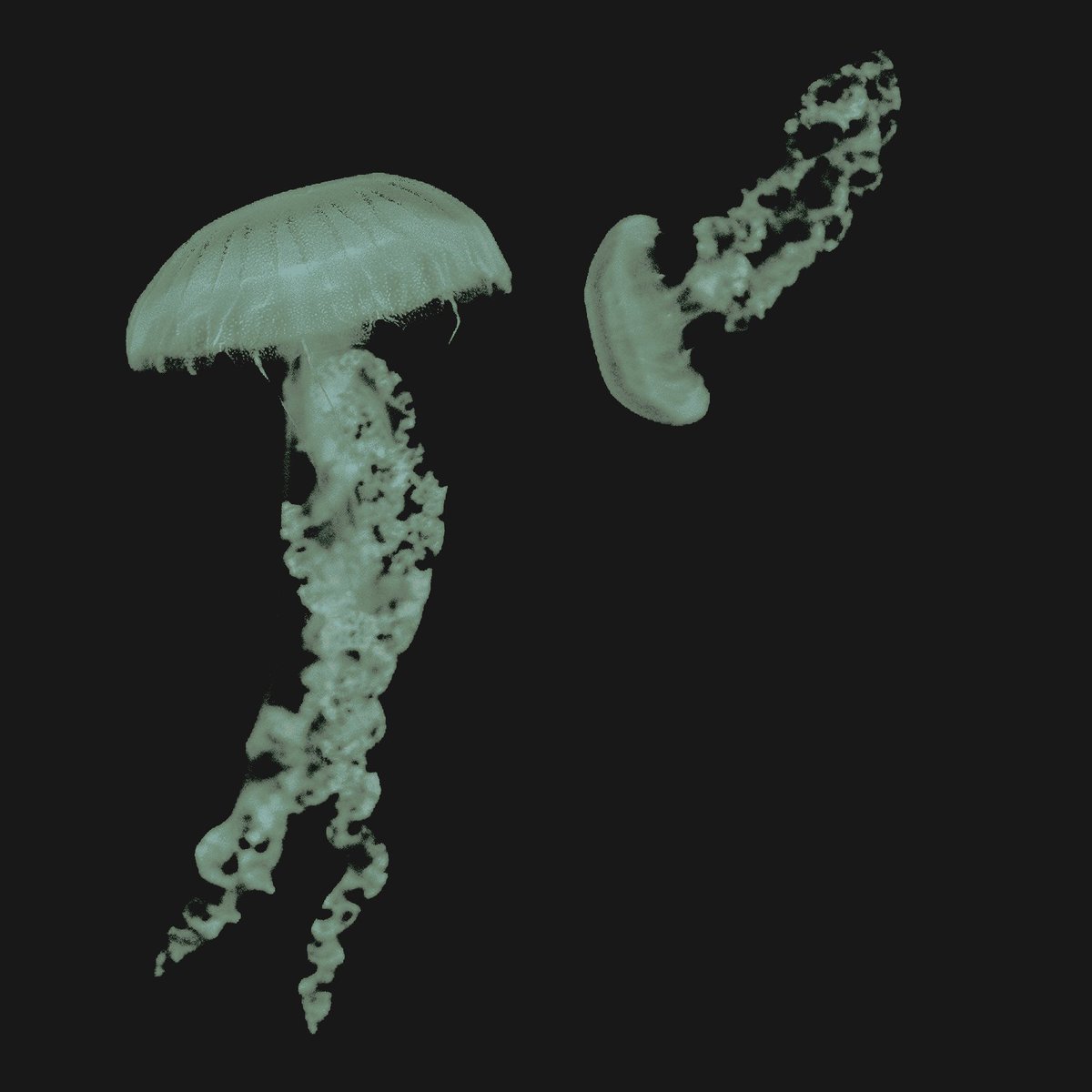 ‍ ‍ ‍ ‍ 𝕾ᵢᵣ͞ₑ𝗻'⃰𝘀‍‍ ‍ ‍ ‍ ‍ ‍ ‍ ‍ 𝓼᪳𝙤𝙣͜𝓰 ‍ tweet media