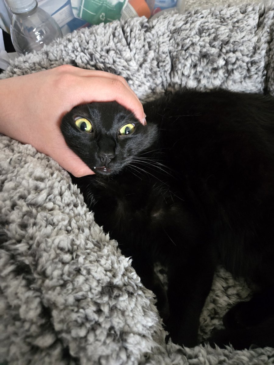 ☠ Jasper tweet media