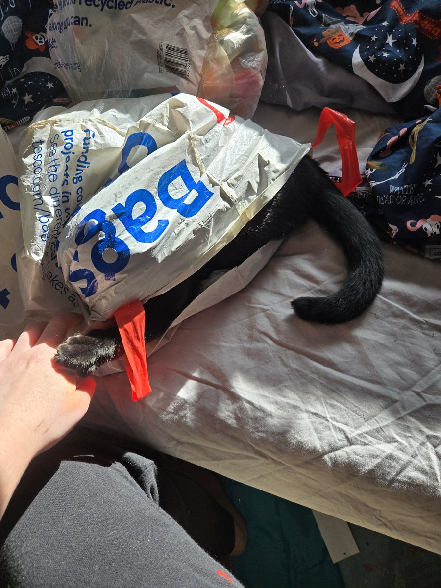 ☠ Jasper tweet media