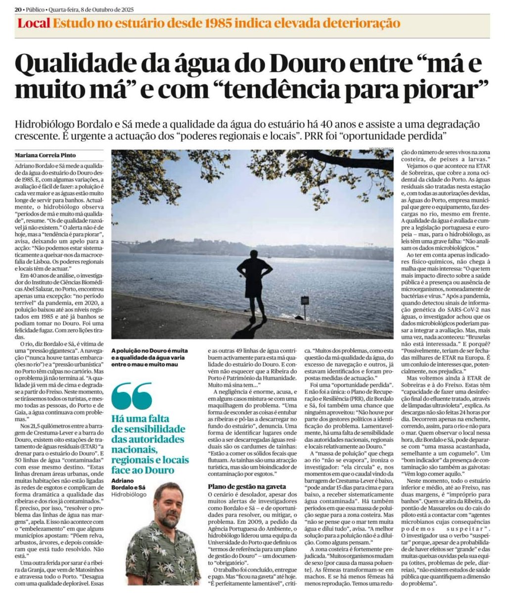 DavidFAlves's tweet photo. Este artigo levanta um tema premente. Vale a pena a nova CMP unir esforços para resolver de forma permanente. 
Junto foto da ribeira perto de casa... https://t.co/Ct8eWZQ5fH
