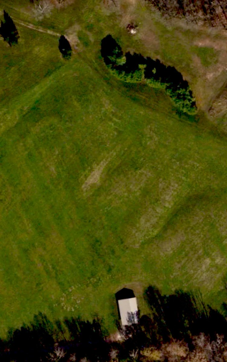 MoundLore tweet media