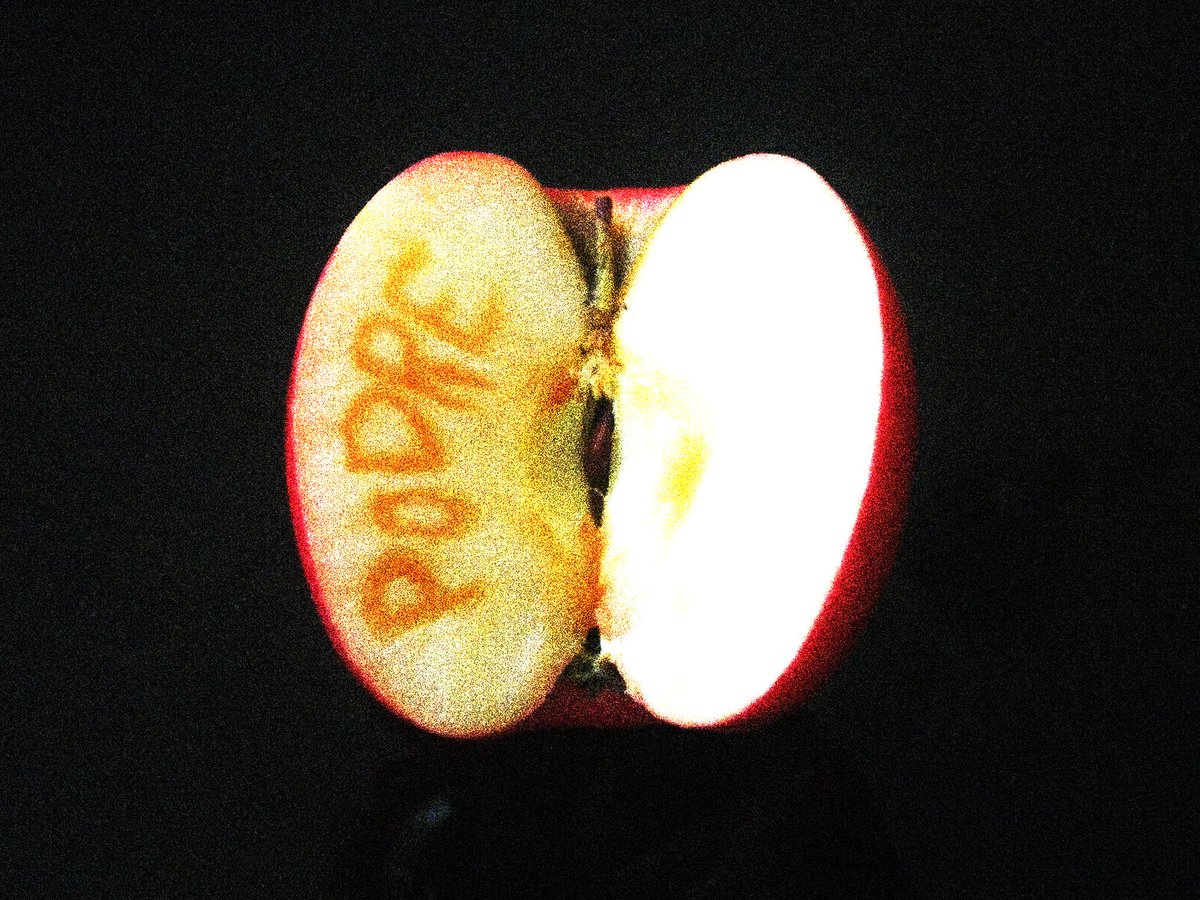 esoetericos's tweet image. podre