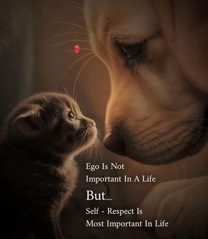 Self-respect is the most important thing in life.