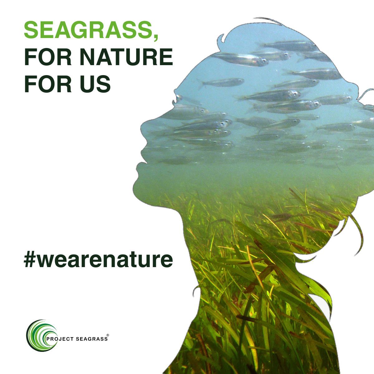 Richard Unsworth 🏴󠁧󠁢󠁷󠁬󠁳󠁿 tweet media