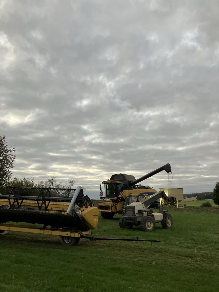 Période de pleine activité dans les champs : on passe d’une machine à l’autre sous le soleil ☀️ 😎si le brouillard ne tarde pas trop à se lever 😶‍🌫️
Semer🌱, fertiliser, gérer les adventices et récolter les derniers ha de 🌻 pour nourrir les oiseaux 🐦 #lesgrainesdechaast