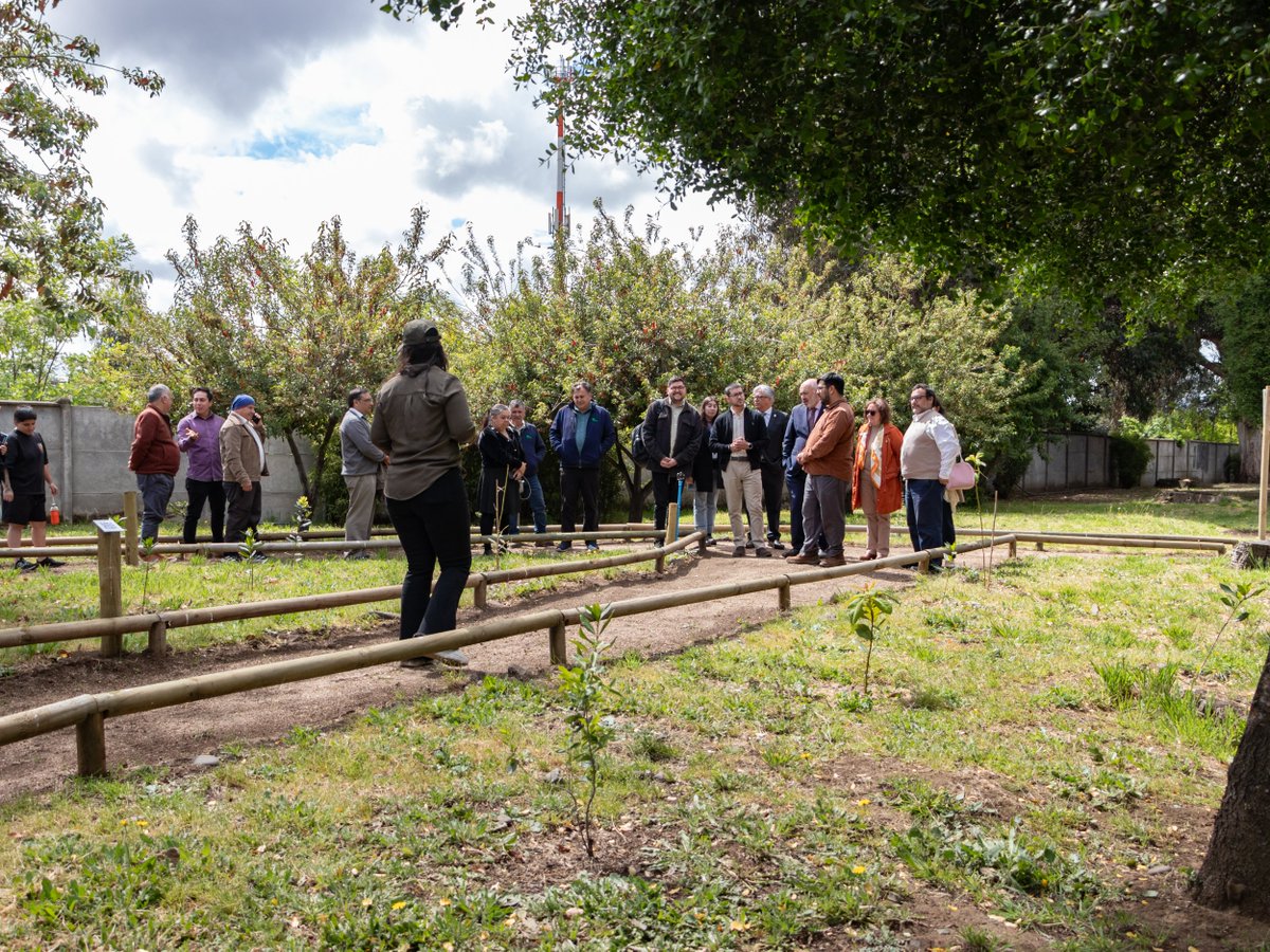🌱 Hoy participamos en la inauguración del Jardín Mediterráneo de flora nativa en <a href="/ubbchile/">U. del Bío-Bío</a>, campus La Castilla, Chillán. 🙋‍♂️Más de 130 plantas y 20 especies de árboles y plantas nativas, como el #Queule, promoviendo la conservación y el aprendizaje.