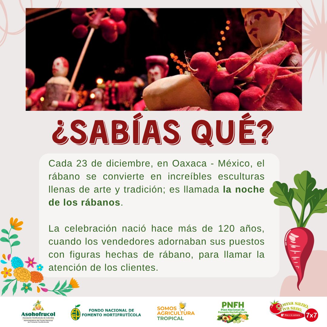 🧑‍🌾La noche de los rábanos demuestra que la creatividad también se cultiva en la tierra. 
#ComeSanoViveSano #Asohofrucol #FNFH #PNFH #SomosAgriculturaTropical #SomosUnModeloAmbiental #SomosSoberaníaAlimentaria #ÁlvaroPalacioPeláez #Salud #Nutrición