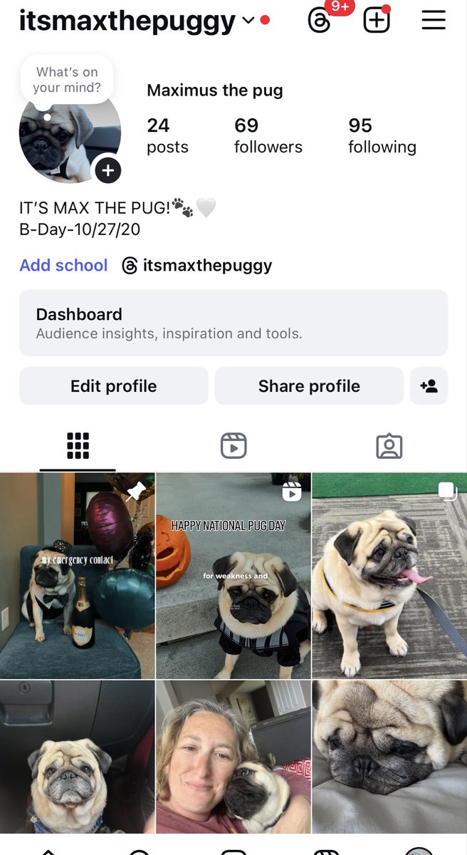 classof22swift's tweet image. This is Max’s Instagram account (that will become more active). If any of you want to follow it.