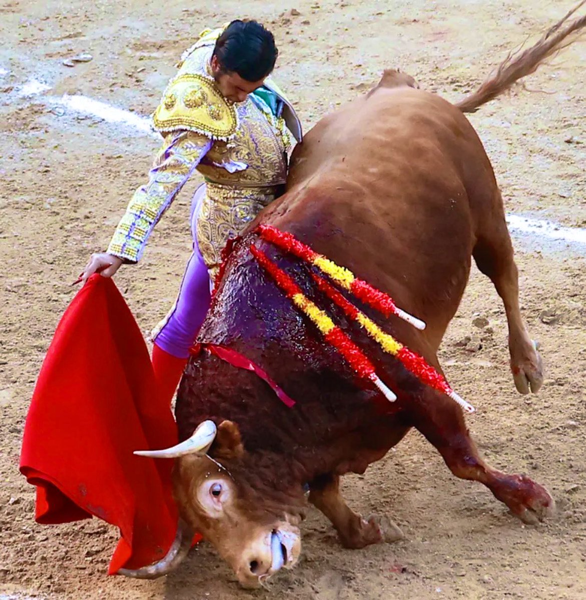 Tercio de Quites tweet media