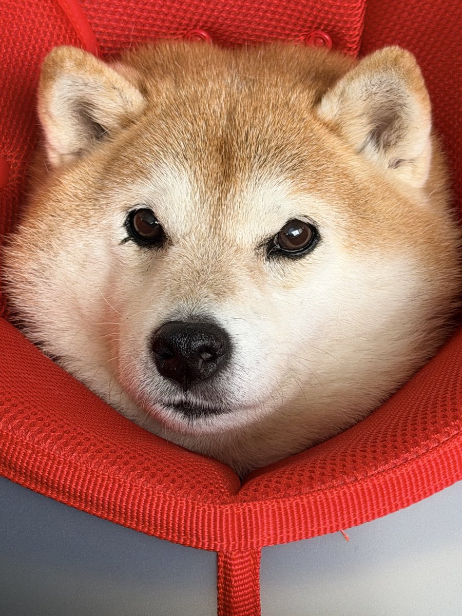 ☆ハナちゃん☆ ヘアサロン専売品 小さな美容室 ハナ(hana)｜ホットペッパービューティー