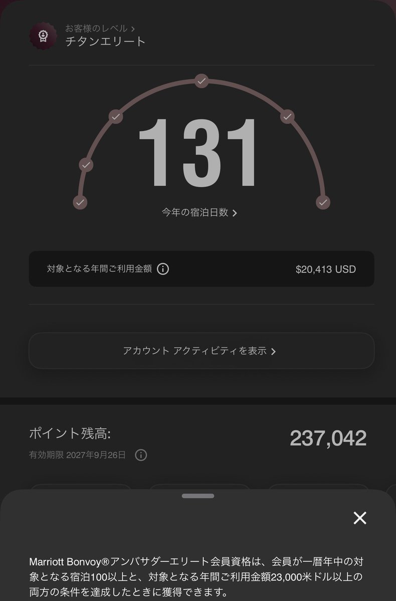 やっと加算されましたー！
あと2600ドル、約50万円でアンバサダーや🙄