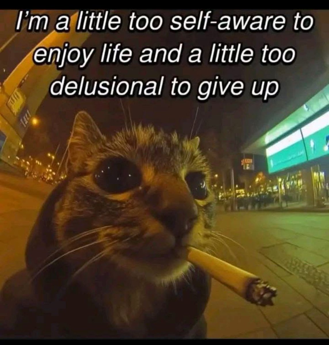 ADHD Memes (@adhdforreal) on Twitter photo 