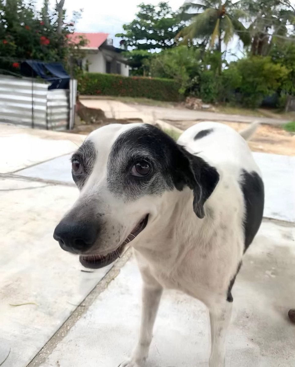 spotgabbiani's tweet image. Osea, sí, pero qué pinche necesidad...