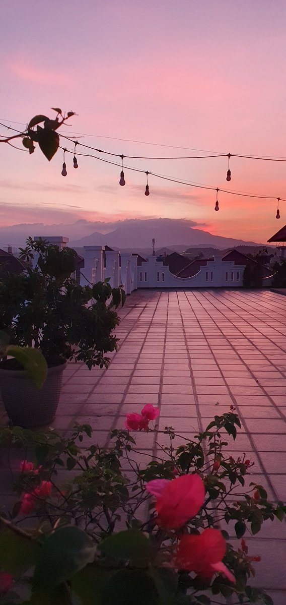 federer (@riduan) on Twitter photo 