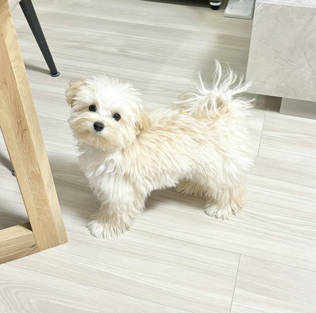 ちと太りましたか………？？😅