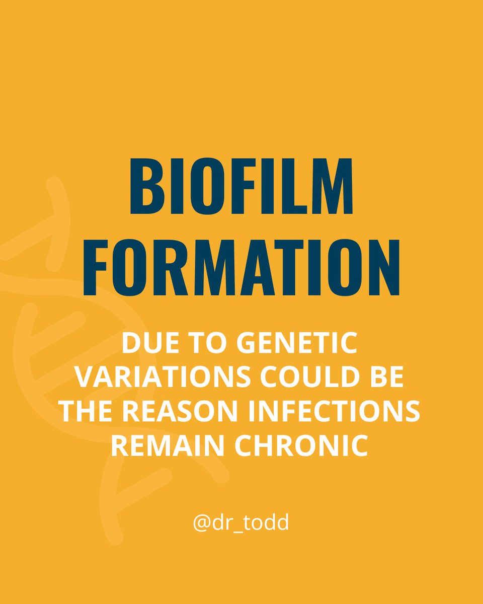 Todd Maderis, ND tweet media