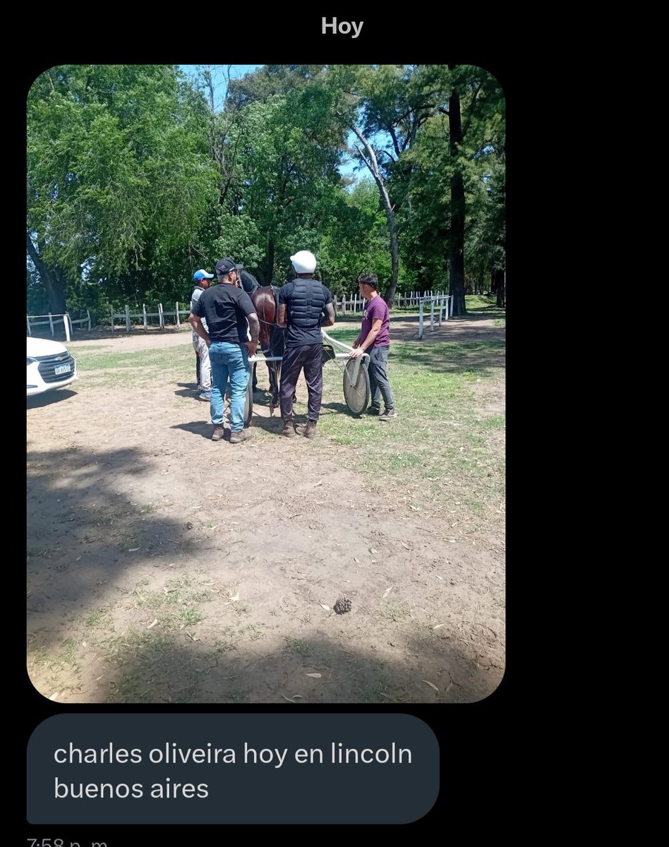 hagovufc's tweet image. Me informa un seguidor que LA CABRA Charles Oliveira se encuentra ahora mismo en la ciudad de Lincoln, Buenos Aires, Argentina📍