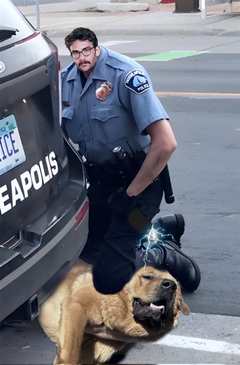 Tectone's tweet image. 