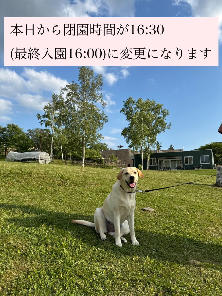 【お知らせ】

本日、10月16日(木)から閉園時間が変更になります。ご来園の際はご注意ください。

開園時間：9時30分(変更なし)
閉園時間：16時30分まで(入園は16時まで)

なお、11月4日(火)から11月10日(月)までは冬期開園準備のため、休園となります。

#旭山動物園
#asahiyamazoo
#動物園
#zoo