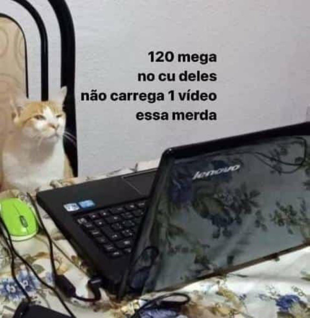 O YouTube caiu 🤡🤡🤡            

Eu automaticamente: