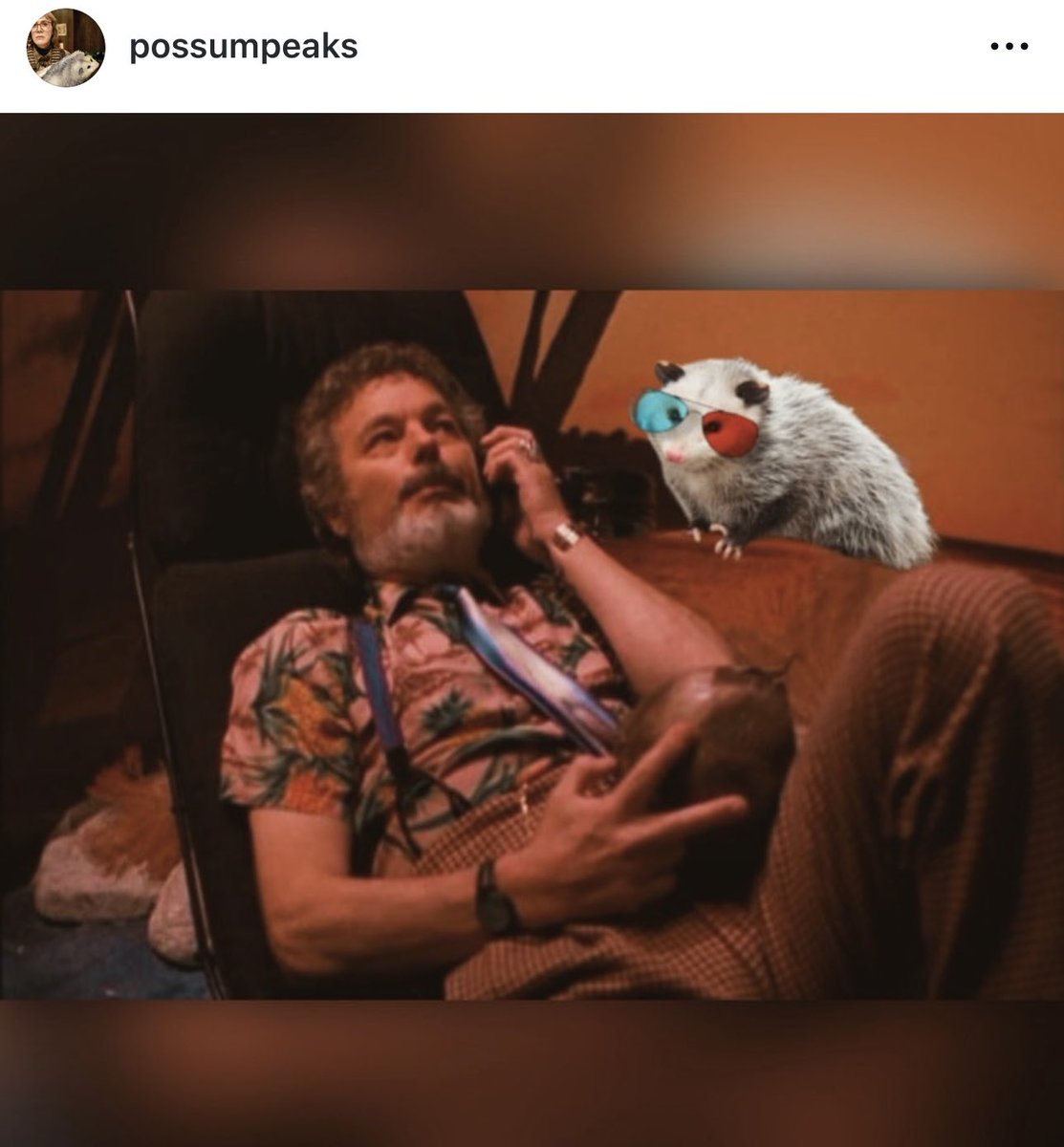 ObnoxandAnony's tweet image. I’m in love.
#TwinPeaks #Possum