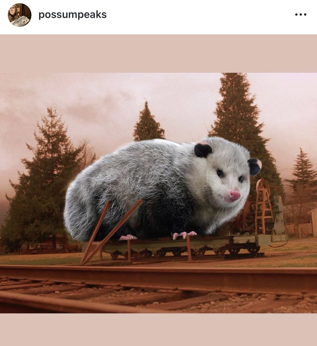 ObnoxandAnony's tweet image. I’m in love.
#TwinPeaks #Possum