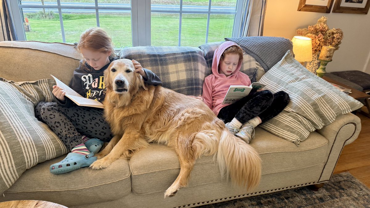 “I had babysitting duty tonight. But I forgot how much to charge!”
-Sophie

#BrooksHaven #GoldenRetriever #grc #dogcelebration #BabysitterDog