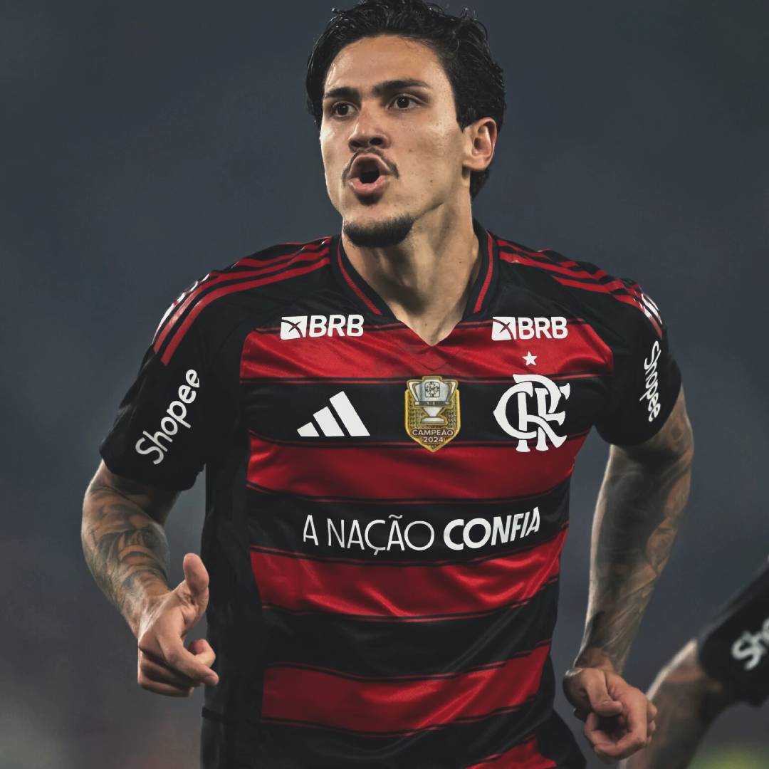 R10Score's tweet image. Pedro é o ÚNICO jogador com 20+ gols marcados (22) e 10+ assistências (10) no Brasileirão desde 2024.

Um 9 completo! 🇦🇴9️⃣