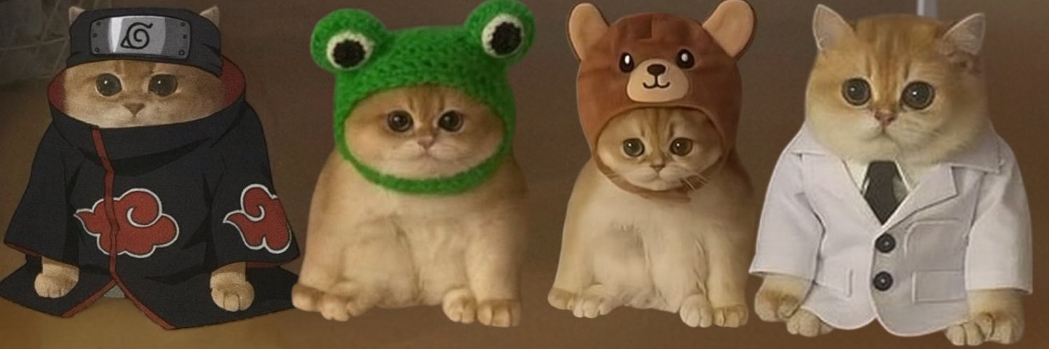 Conceptual Frog Cat Banner
