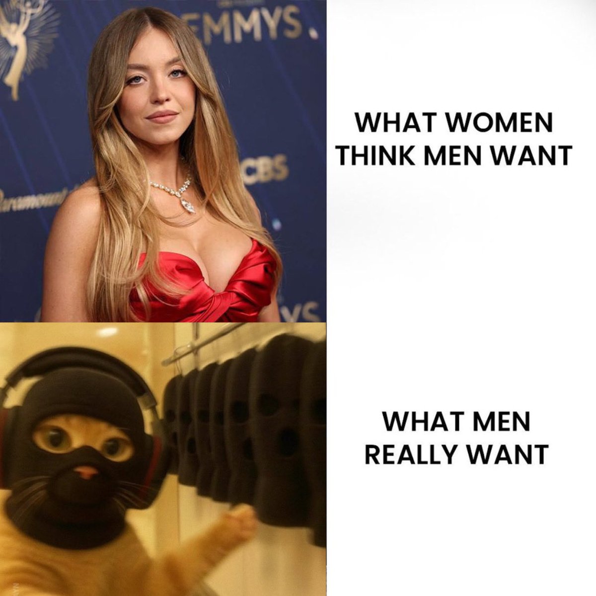 🥷