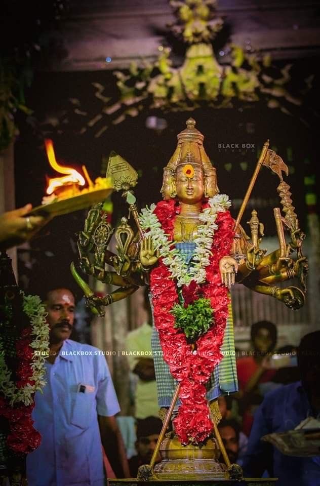 podhigaimagal's tweet image. அழகென்ற சொல்லுக்கு முருகா..🙏

#புலரி