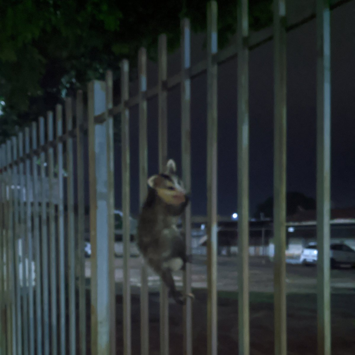 Indo trabalhar quando derepente