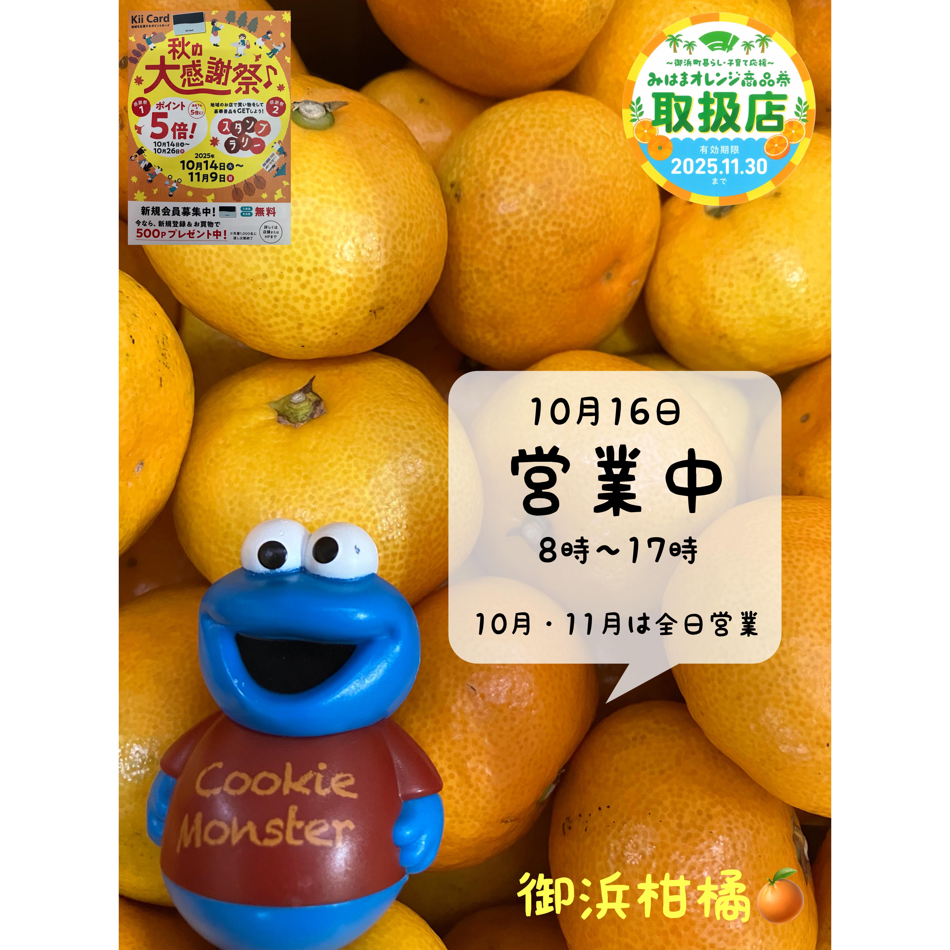 みかん こだわりみかん”の御浜柑橘 on X: 