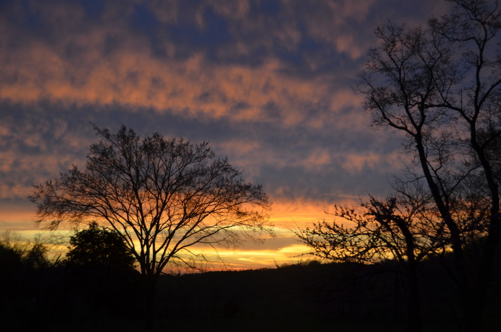 captlibertas's tweet image. Night’s on fire…🔥 Good night from Missouri.