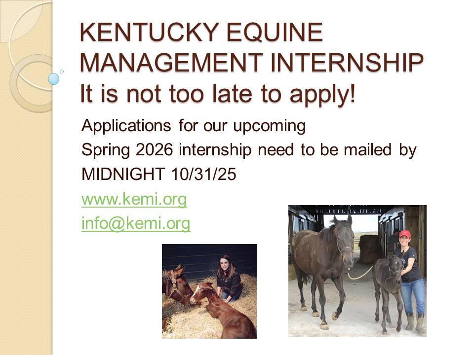 KEMI (@kyequineintern) on Twitter photo 