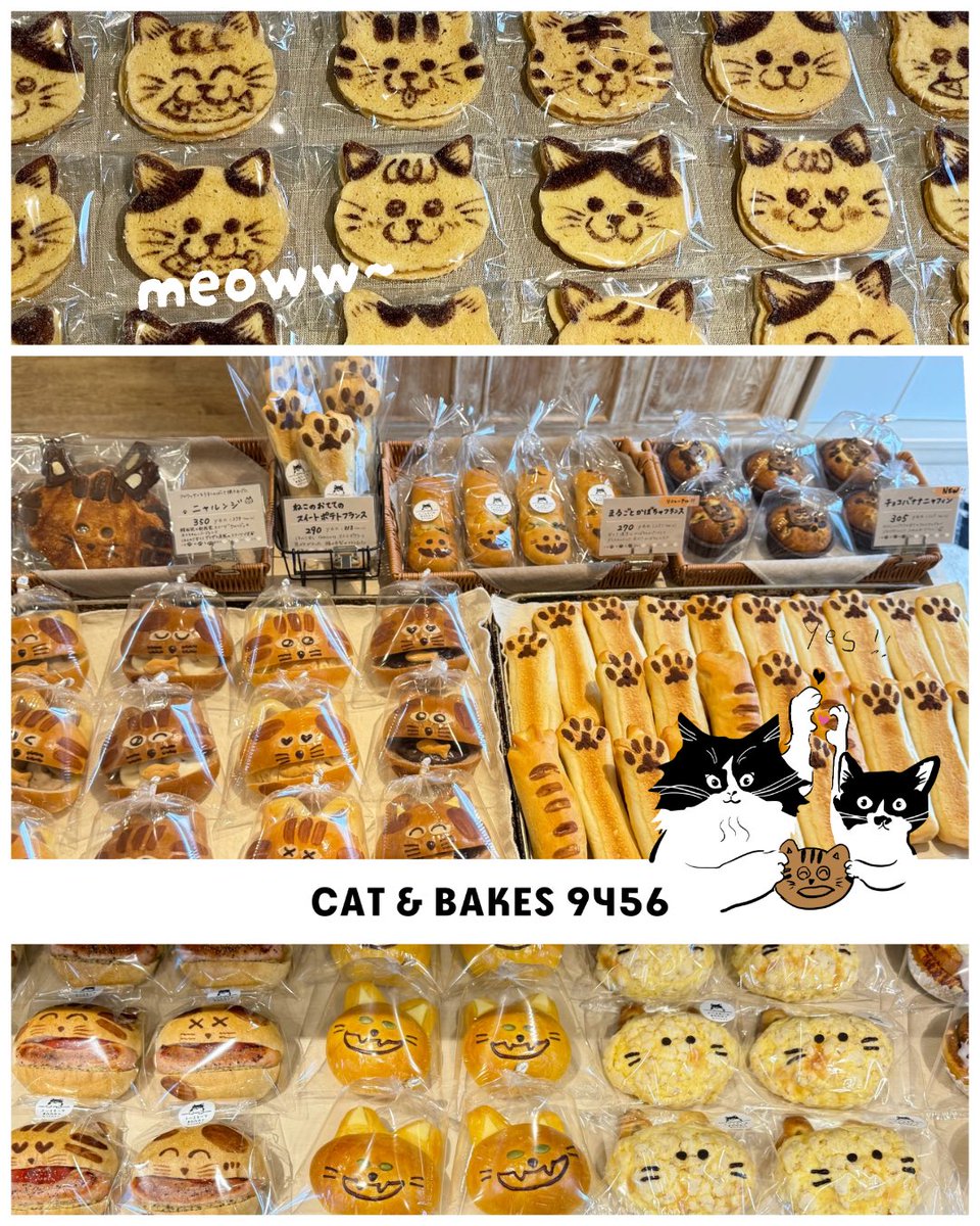 ねこ♡ページ ねこ♡ページ ねこページ ねこページ ねこページ もも‬