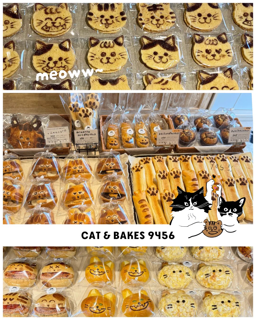 CAT & BAKES 9456 （キャットアンドベイクスグシコロ） on X: 