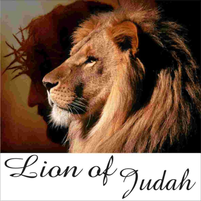 carintonms's tweet photo. When we are talking about Palestine and Israeli cases I do remember this wise Ancient chinese Proberb.

"Do not keep three male lions in the same valley." https://t.co/FMlp5tfzrj