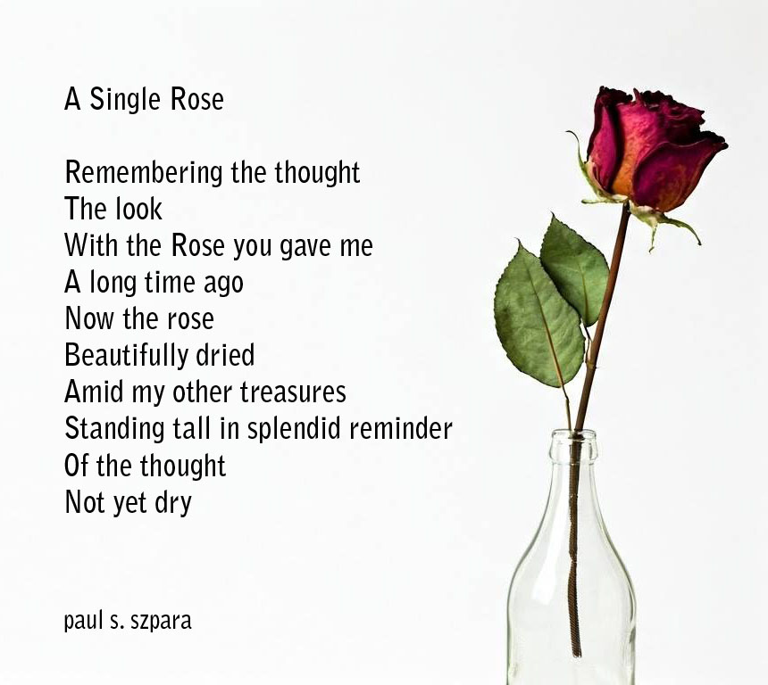 paulszpara (@paulsszpara) on Twitter photo 