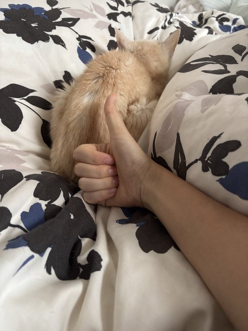 きょ誕生日❣️イェ✌️
フォロワー、ぜひイイねを押してね🎈🍰🍰🍰 