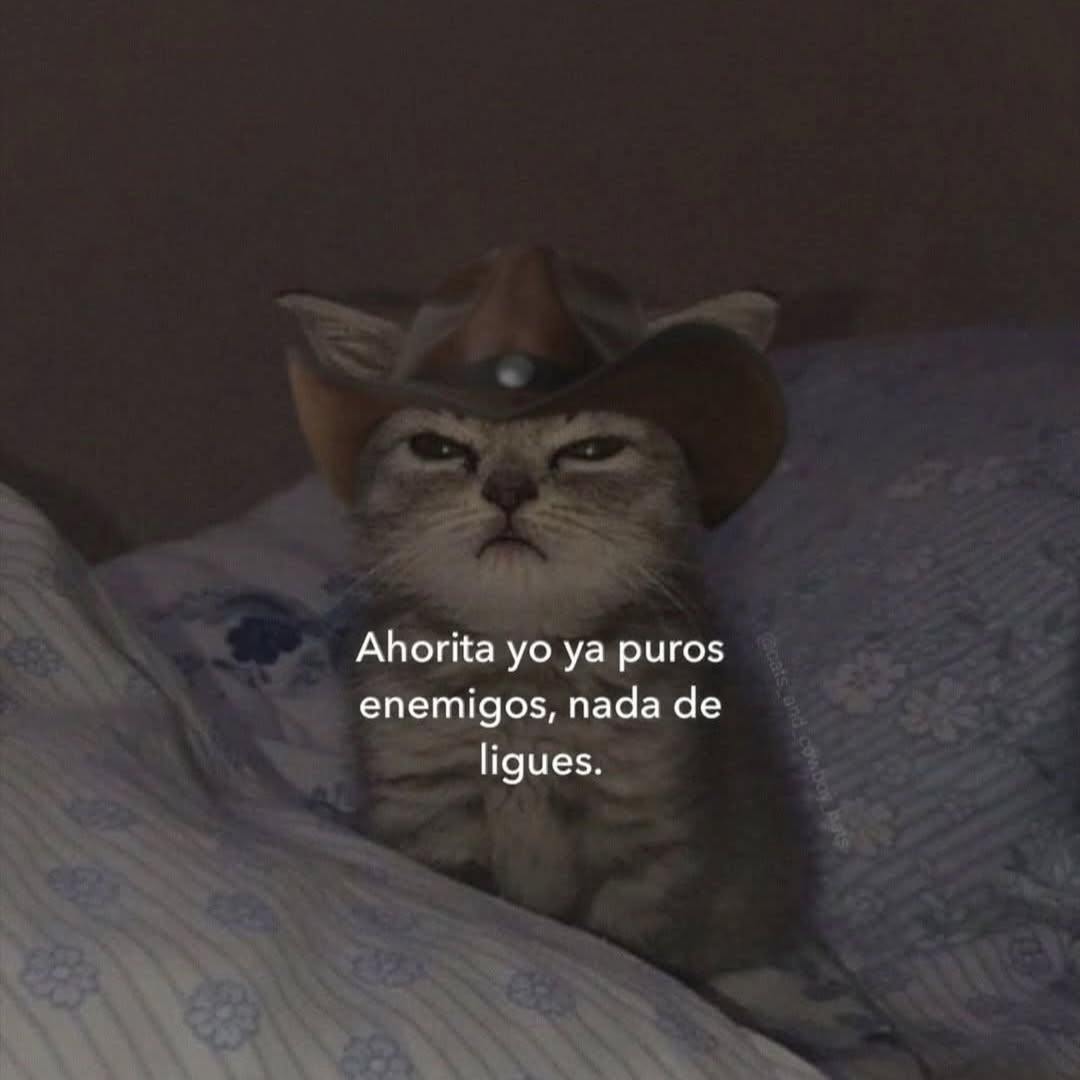 Ojos color sol (@ojoscol0rsol) on Twitter photo 