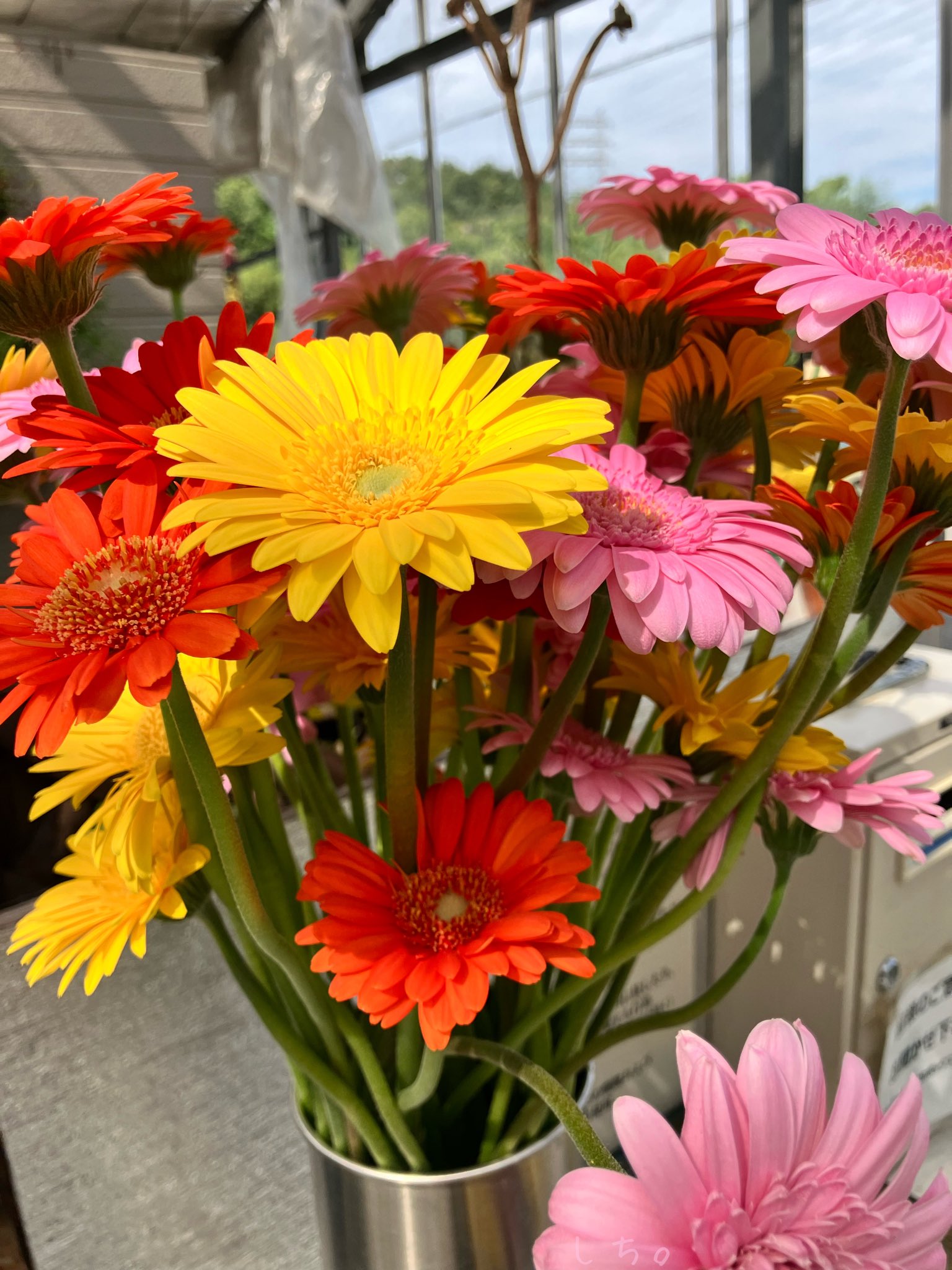 しち。 (@happyx2_seven) / X