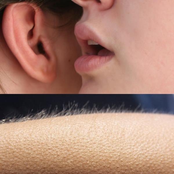 "6 days left before the NBA season"